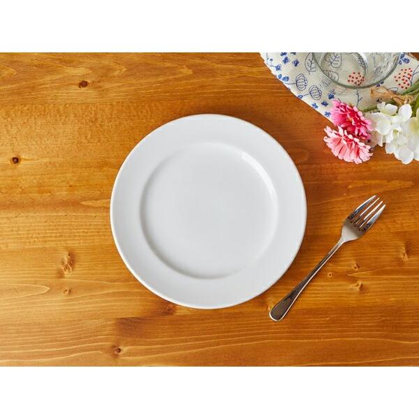 洋食器 丸皿 21cm ホテルディッシュ エクシブ カネスズ 中皿 主菜皿