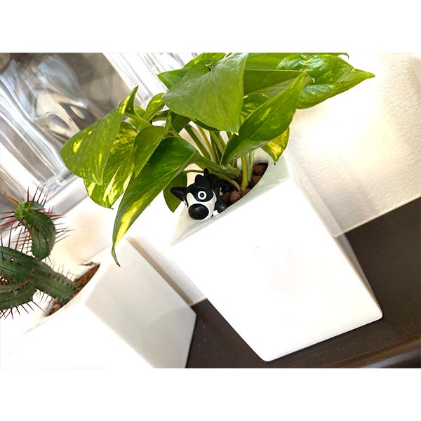 おしゃれ 植木鉢 3個セット 木台付き 室内 ハイドロカルチャー 穴無し 多肉植物 白 モダン 陶器 鉢カバー 四角 観葉植物 インテリア プランターアウトレット込 13 K Sキッチンヤフー店 通販 Yahoo ショッピング