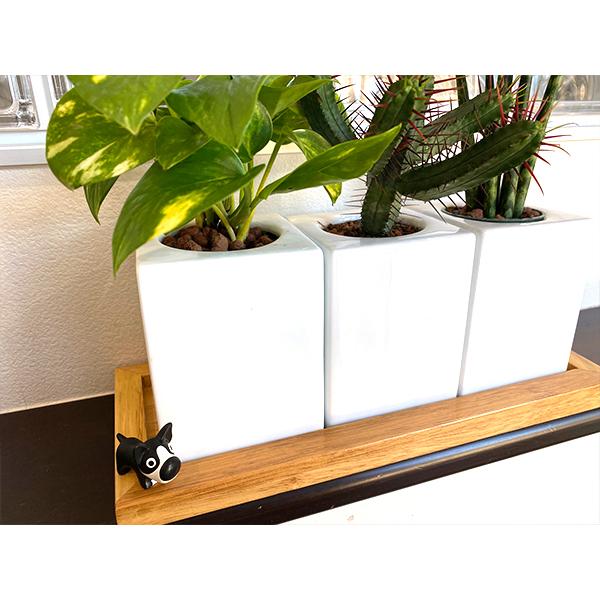 21激安通販 おしゃれ 植木鉢 3個セット 木台付き 室内 ハイドロカルチャー 穴無し 多肉植物 白 モダン 陶器 鉢カバー 四角 観葉植物 インテリア プランターアウトレット込 Discoversvg Com
