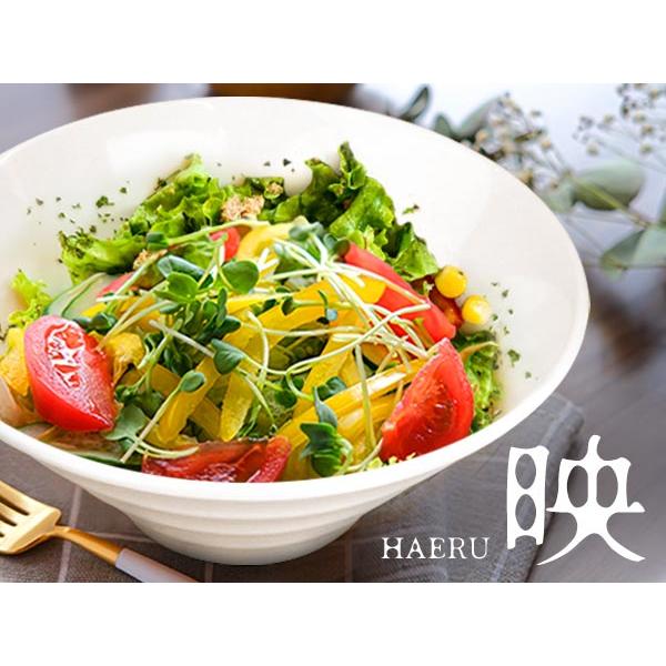 ラーメン どんぶり 21cm 1400cc 大きい アウトレット込 丼ぶり 大