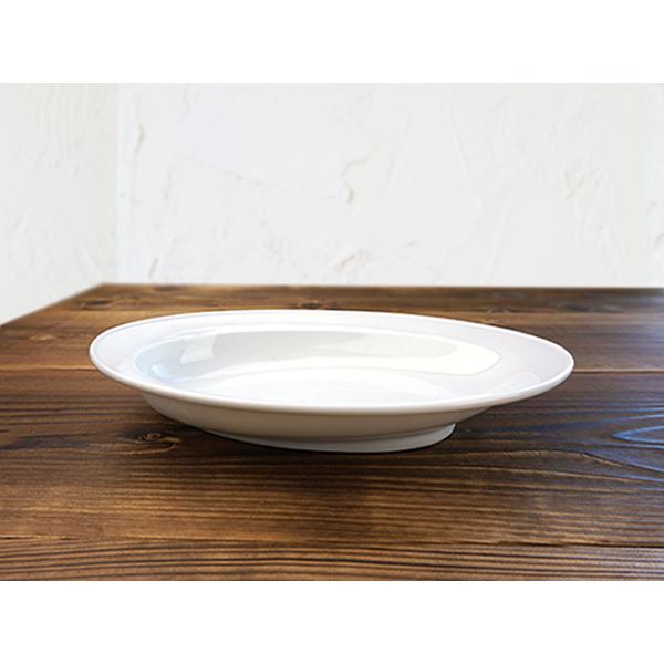 スゴイ カレー皿 3色セット カレー専用 3枚セット 軽い 軽量 スロープ