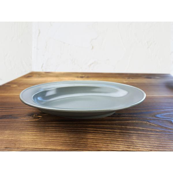 スゴイ カレー皿 3色セット カレー専用 3枚セット 軽い 軽量 スロープ