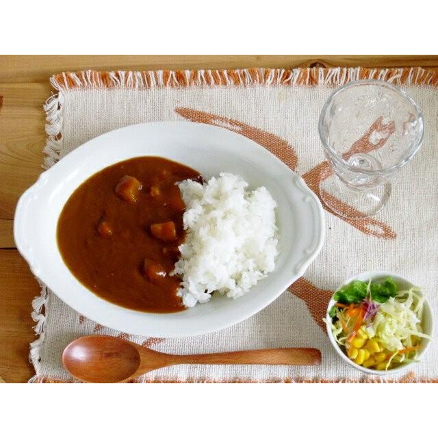 本格派 レリーフカレー皿 Mサイズ 23 5cm 白い食器 カレーベーカー パスタ皿 ボウル ボール 洋食器 日本製 訳アリ アウトレット オーバル 楕円鉢 708 K Sキッチンヤフー店 通販 Yahoo ショッピング