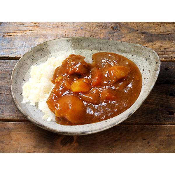 カレー皿 21cm おしゃれ アウトレット品込 三角 やや小ぶり カレー鉢