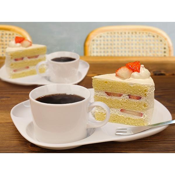 ランチプレート カップセット 22.4cm ワンプレート カフェプレート 