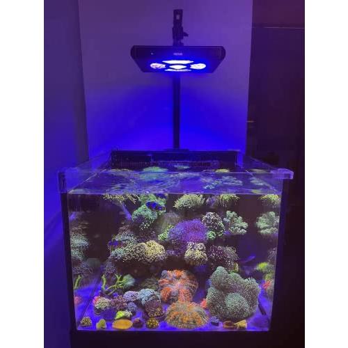 Hipargero水槽ライト-100watt LEDアクアリウムライト | www.kmsedu.in