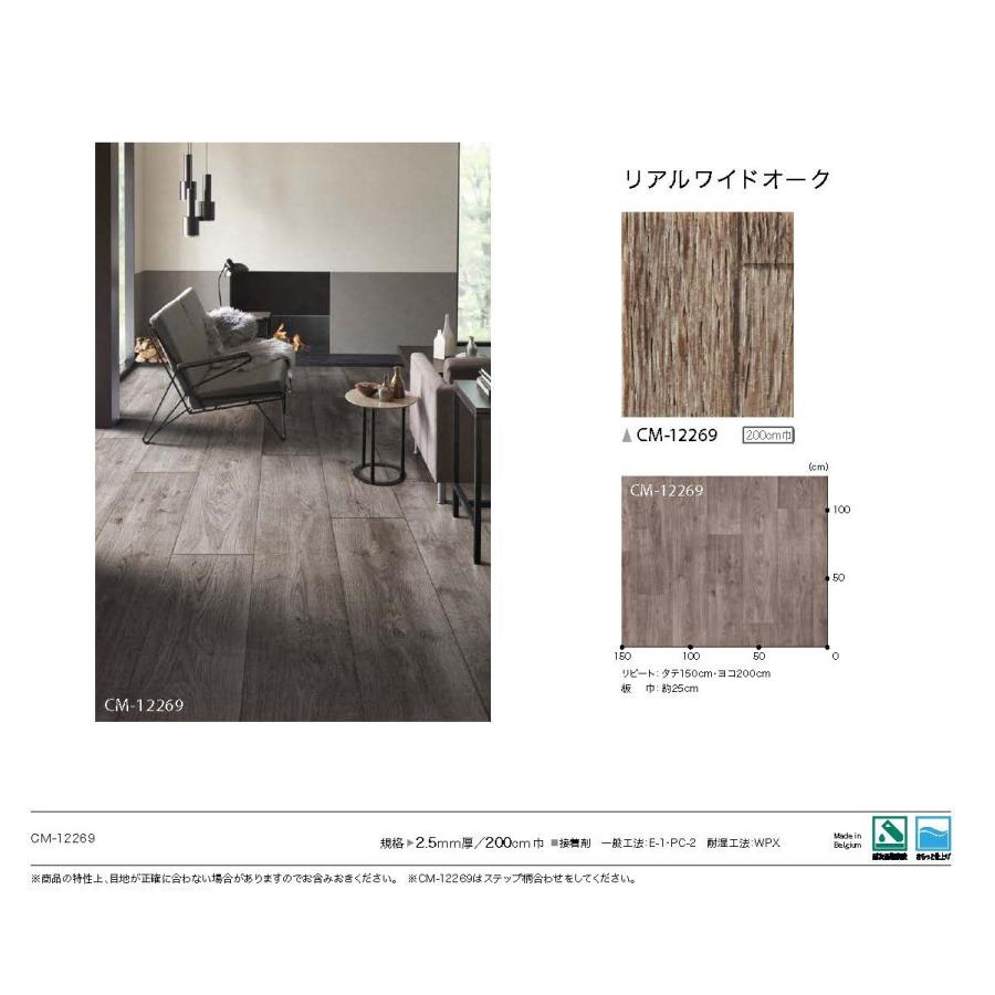 サンゲツ（SANGETSU） 2.5mm厚フロア 1色 200cm巾 リアルワイドオーク