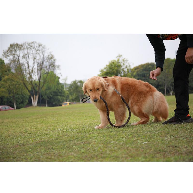 犬用品 首輪 大型犬 中型犬 リード 犬用 セット 革 おしゃれ レザー