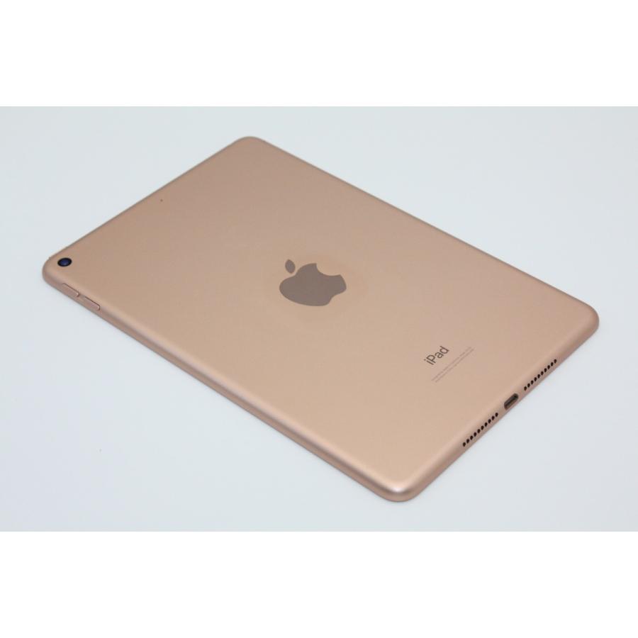 Apple iPad mini第5世代　Wi-Fiモデル　訳あり iPad mini 訳あり特価 第5世代 64GB Wi-Fiモデル Bランク : ケースマ