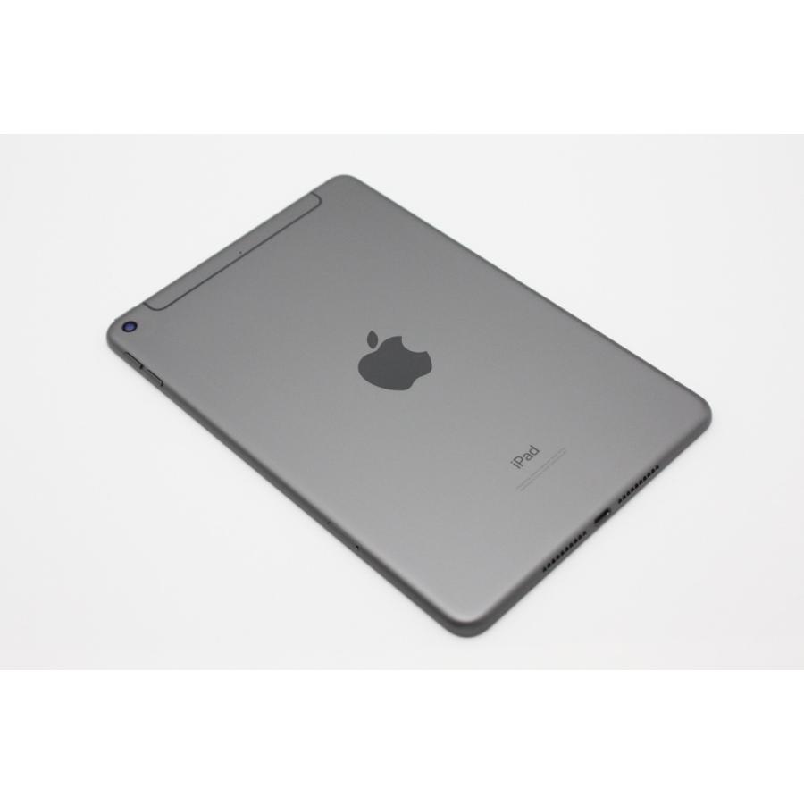 iPad mini 第5世代 Wi-Fi + Cellular 64GB スペースグレイ SIMロック