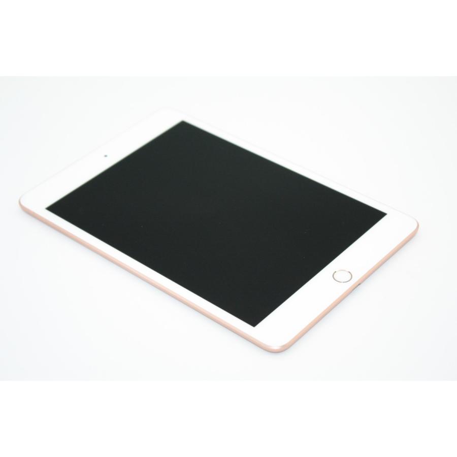iPad mini 訳あり特価 第5世代 64GB Wi-Fiモデル Bランク : ケースマ 