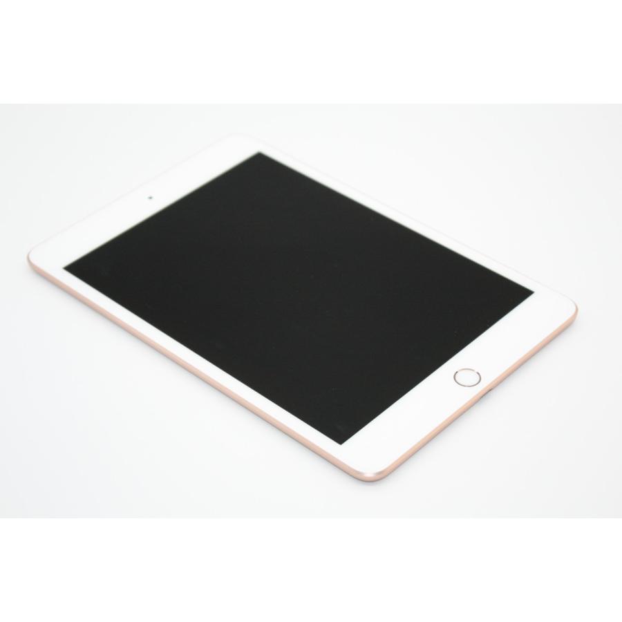 iPad mini 訳あり特価 第5世代 64GB Wi-Fiモデル Bランク : ケースマ