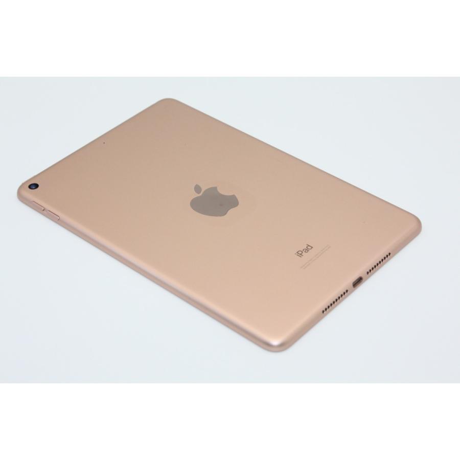 iPad mini 訳あり特価 第5世代 64GB Wi-Fiモデル Bランク : ケースマ