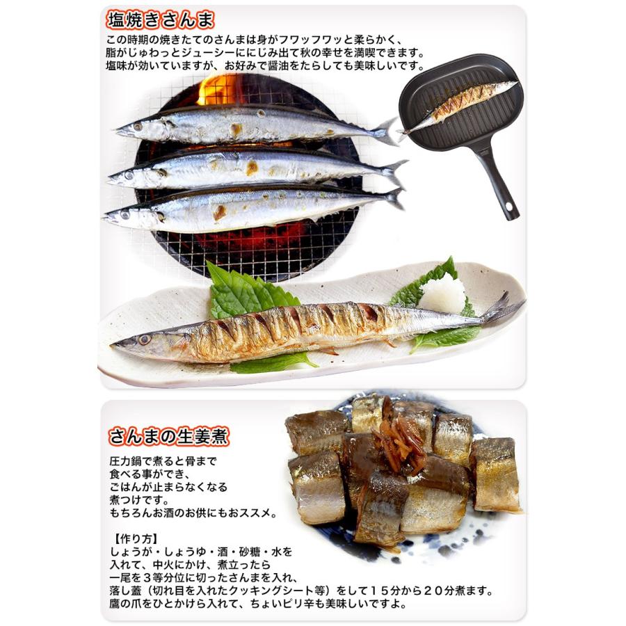 業務用さんま１４５g前後５５尾 冷凍 送料無料 お取り寄せグルメ 秋刀魚 サンマ 海鮮 0000abhbb 気仙沼素材屋 Yahoo 店 通販 Yahoo ショッピング