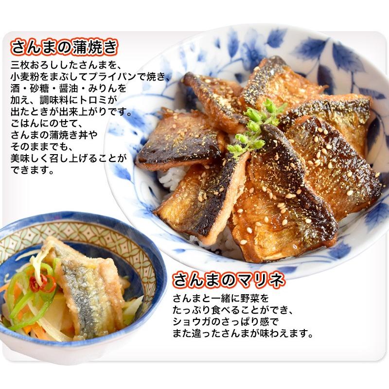 業務用さんま１４５g前後５５尾 冷凍 送料無料 お取り寄せグルメ 秋刀魚 サンマ 海鮮 0000abhbb 気仙沼素材屋 Yahoo 店 通販 Yahoo ショッピング