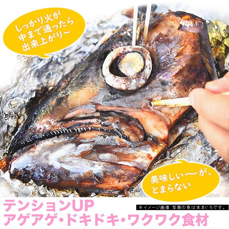 まぐろ メバチマグロ 半頭２kg以上 ２個 アウトドア キャンプ バーベキュー食材 野外 ｂｂｑ メバチマグロ 鮪 かぶと焼き 兜 B級グルメ お取り寄せグルメ Y Mebati Atama4 気仙沼素材屋 Yahoo 店 通販 Yahoo ショッピング