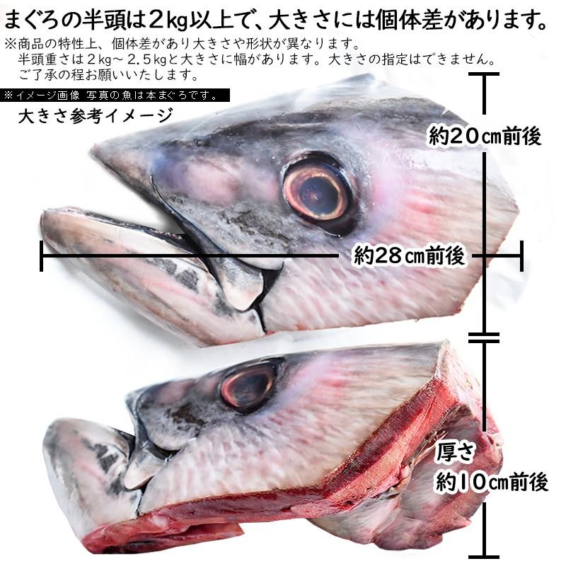 まぐろ メバチマグロ 半頭２kg以上 ２個 アウトドア キャンプ バーベキュー食材 野外 ｂｂｑ メバチマグロ 鮪 かぶと焼き 兜 B級グルメ お取り寄せグルメ Y Mebati Atama4 気仙沼素材屋 Yahoo 店 通販 Yahoo ショッピング