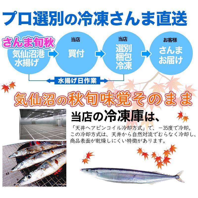キズさんま１０本 １ ３kg以上 お取り寄せグルメ 訳あり気仙沼産 秋刀魚 サンマ 海鮮 冷凍 Y 13 気仙沼素材屋 Yahoo 店 通販 Yahoo ショッピング