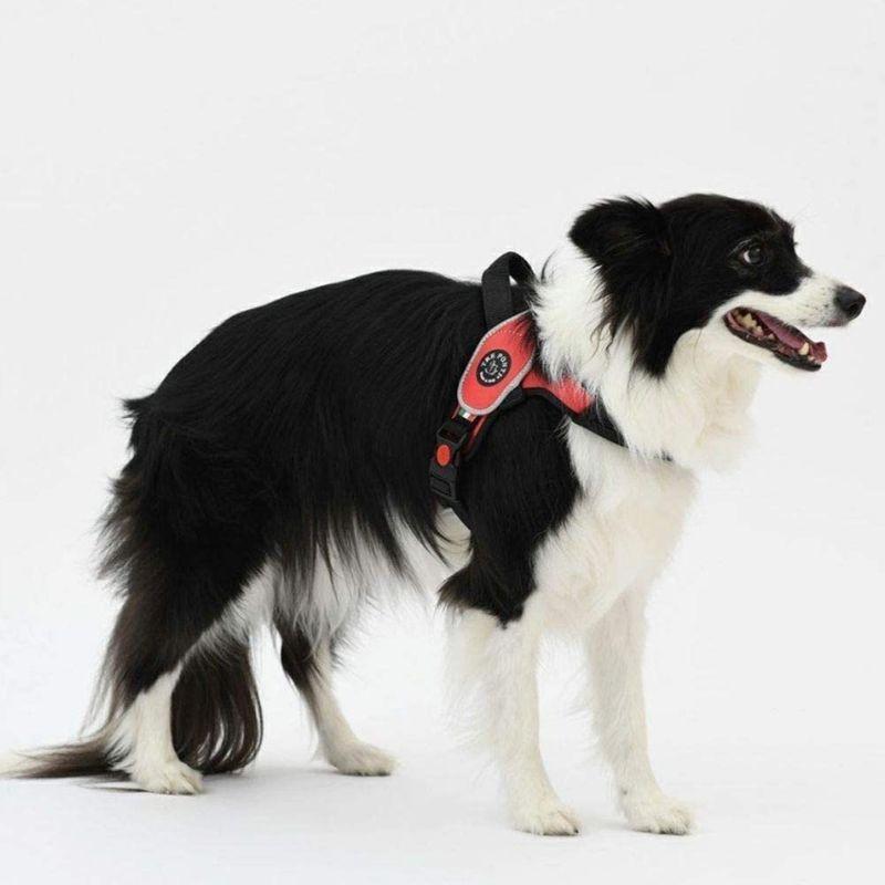人気激安 Tre Ponti トレポンティ Primo プリモ 中型犬 大型犬専用 ハーネス イタリア製 夜間安心 反射素材 ピンク M Plannerce Ir