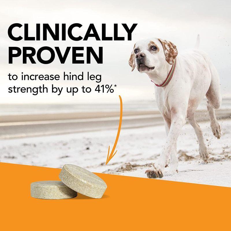 完動品 Glyco-Flex III グリコフレックス 3 チュアブル・タブレット 120錠 【1824716121】(9517円)