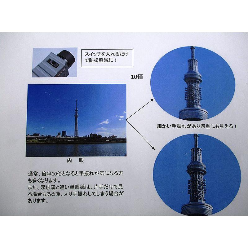 【希少】 SIGHTRON 防振 単眼鏡 手振れ機能 搭載 防水タイプ SIIBL10X25 コンサート スポーツ観戦 野外 SIB23-0126 【A7826667460】(27775円)