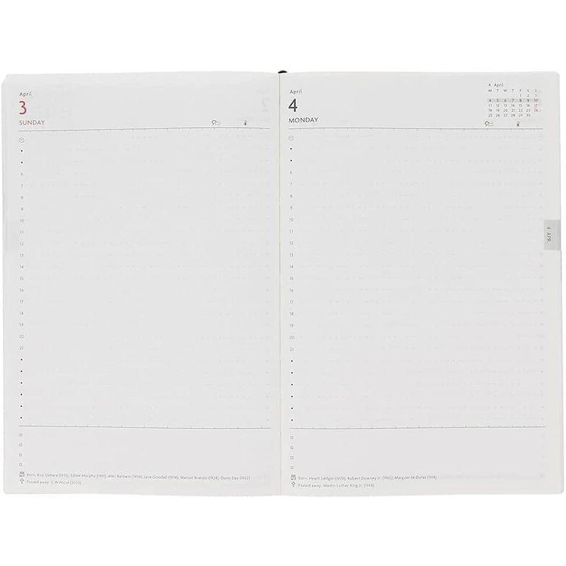 高い素材 レイメイ藤井 Date Your Dream システム手帳 スケジュールリフィル フリーデイリースケジュール Dr17 Materialworldblog Com