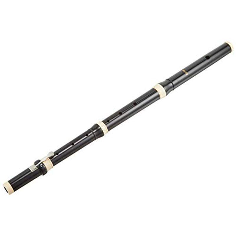 AULOS(アウロス) トラヴェルソ グレンザー ソフトケース付 AF-1