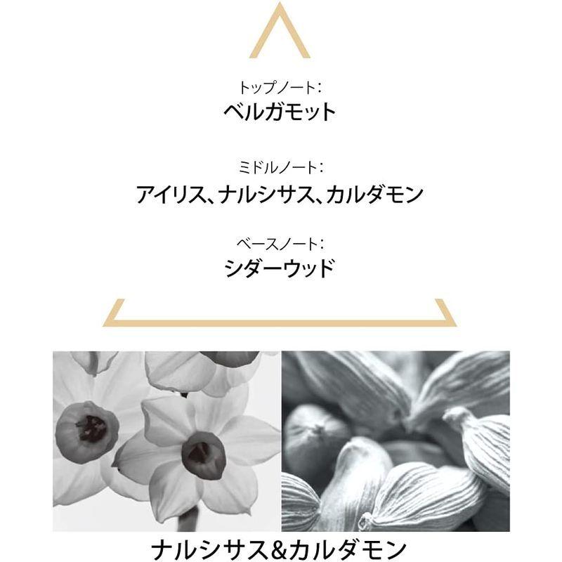 クヴォン・デ・ミニム(Le Couvent des Minimes) シンギュラー オーデパルファム テリア100mL デ ミニム Le Couvent des Minimes シンギュラー オーデパルファム テリア100mL サイズ 100mL