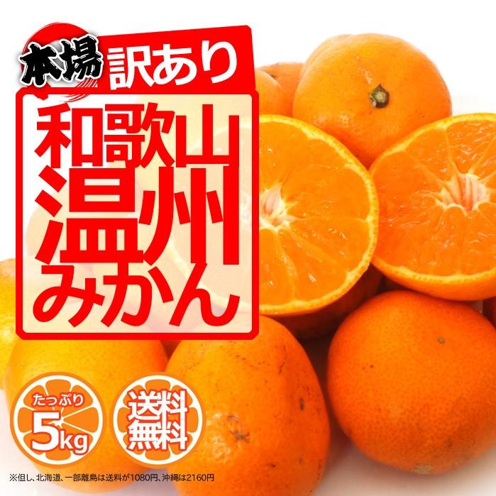予約】送料無料 みかん 5kg （箱込約5kg）訳あり ご家庭用 和歌山県産 