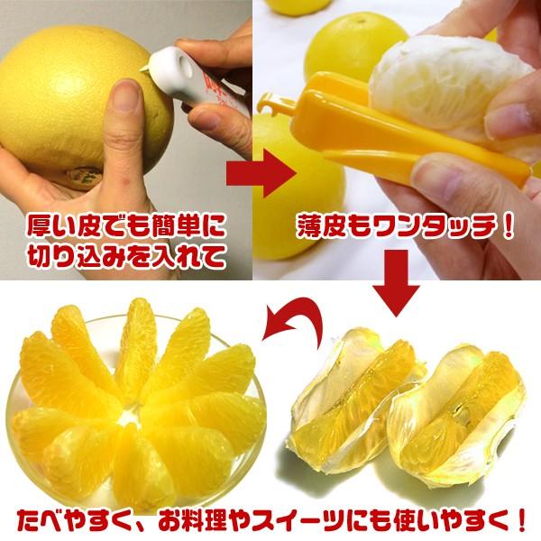 プレゼントを選ぼう 柑橘の皮むき機 はっさくや甘夏 文旦などにおすすめ ムッキーちゃん Discoversvg Com