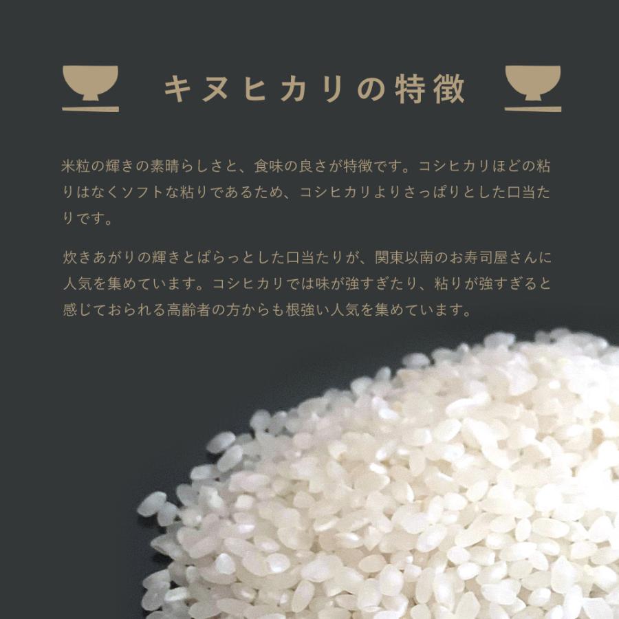 米 お試し 送料無料 和歌山県産 赤津直基さんのキヌヒカリ 150g メール便 ポイント消化 :rc-kinuhikari150:紀州万屋 - 通販 - Yahoo!ショッピング 米 お試し 送料無料 和歌山県産 赤津直基さんのキヌヒカリ 150g メール便 ポイント消化 :rc-kinuhikari150:紀州万屋 - 通販 - Yahoo!ショッピング