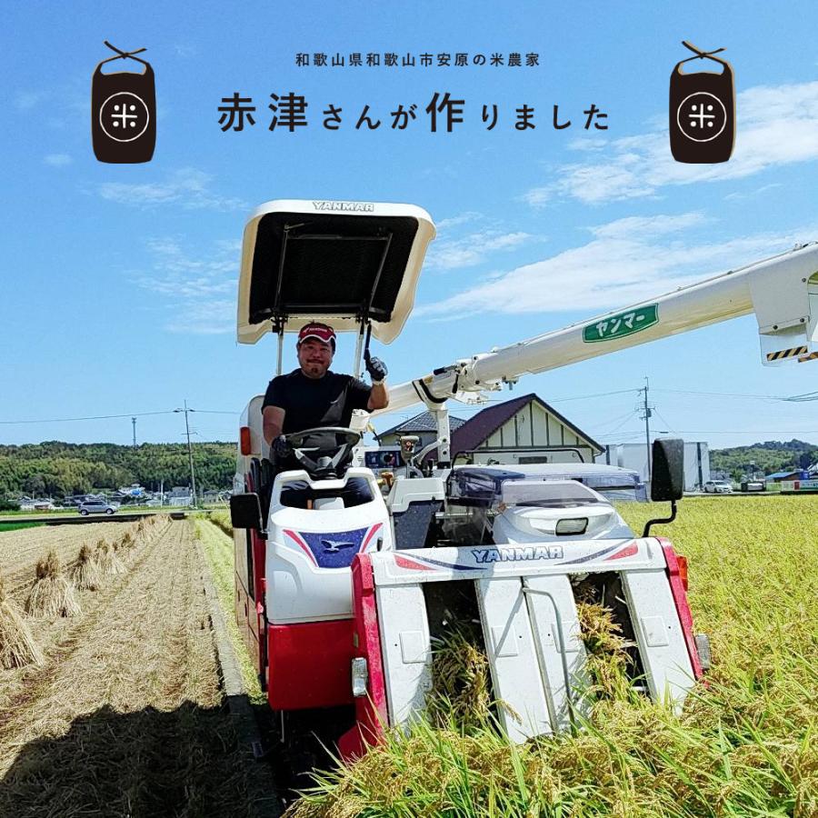 キヌヒカリ 新米 和歌山県産 赤津直基さんのキヌヒカリ 令和4 キヌヒカリ 新米 和歌山県産 赤津直基さんのキヌヒカリ 令和4