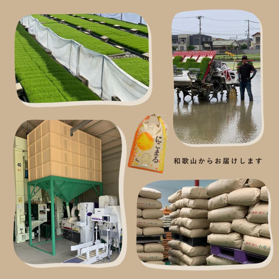 キヌヒカリ 令和4年産新米 和歌山県産 赤津直基さんのにこまる 5kg