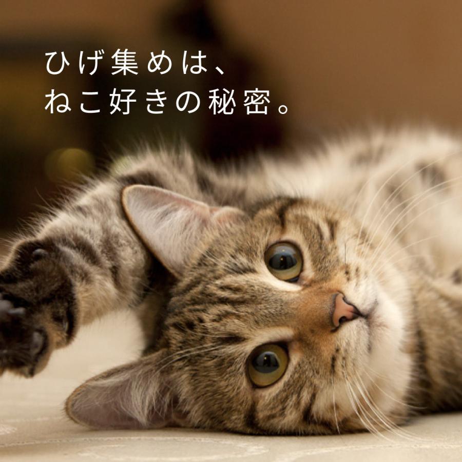 名入れ 猫のひげケース ねこのひげ 保管 Named Nkhg 01 名入れギフトの専門店 Named 通販 Yahoo ショッピング