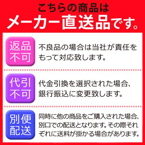 【メーカー直送】キッズサイズ 電動 乗用 フォークリフト 電動乗用 3歳 4歳 5歳 電動 誕生日 クリスマス ギフト 車 動く 乗用おもちゃ 付き リモコン 240275_11