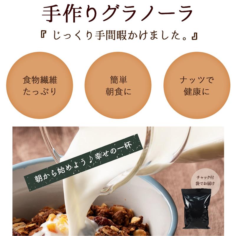 グラノーラ 手作り プレーン チョコ 選べる4種 300g 砂糖不使用