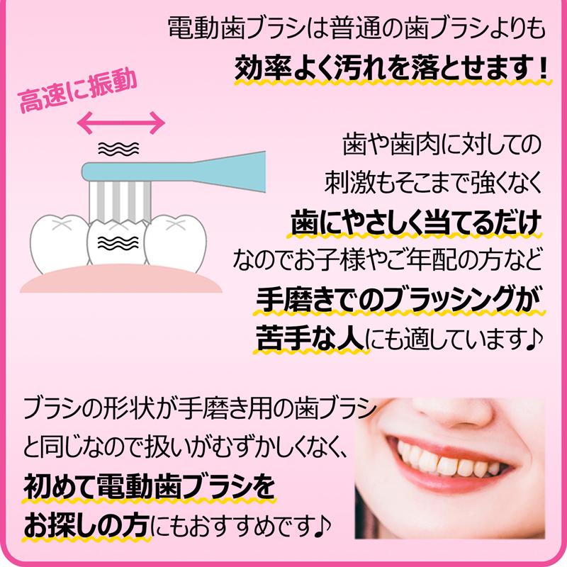 電動歯ブラシ 電動 歯ブラシ 携帯 音波歯ブラシ 音波式振動歯ブラシ スティックソニック 336006 |  | 05
