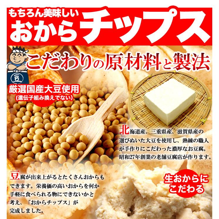おからチップス 300ｇ 国産 生おから 使用 しお味 醤油味 カレー味 3種セット 低カロリー スナック 低糖質 お菓子 おから ダイエット食品 低糖質 糖質制限の快適空間222 通販 Yahoo ショッピング