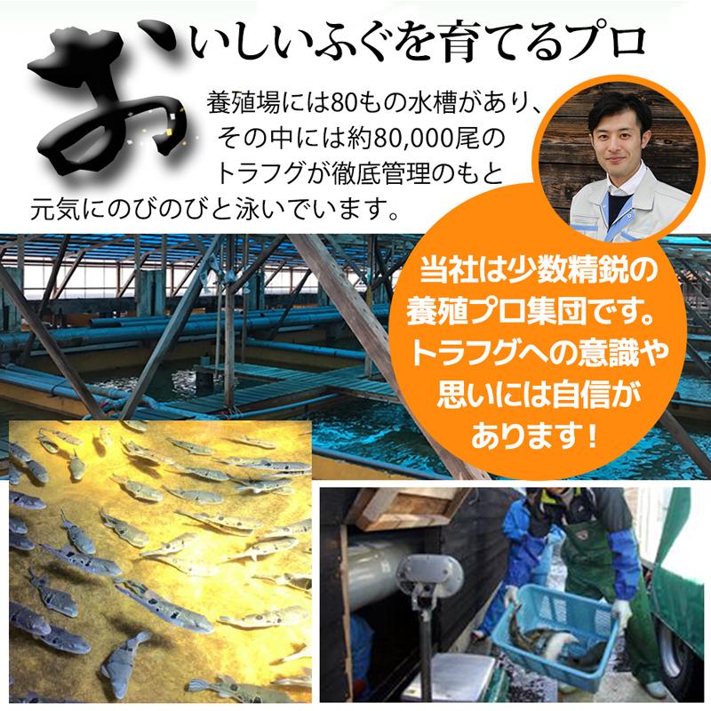 即発送可能 ふぐ刺し 取り寄せ ふぐ鍋 ふぐセット 鮮魚 ふぐ刺身 トラフグ とらふぐ とらふぐ刺し とらふぐセット テッサ ふぐ てっさ てっちり 山口県 3254 お1人様1点限り Test Pendarnet Com