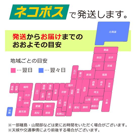 お試し おからビスコッティ ３袋セット  おからクッキー ダイエットクッキー ダイエット 置き換え クッキー 低糖質 お菓子 325210-120｜k222｜16