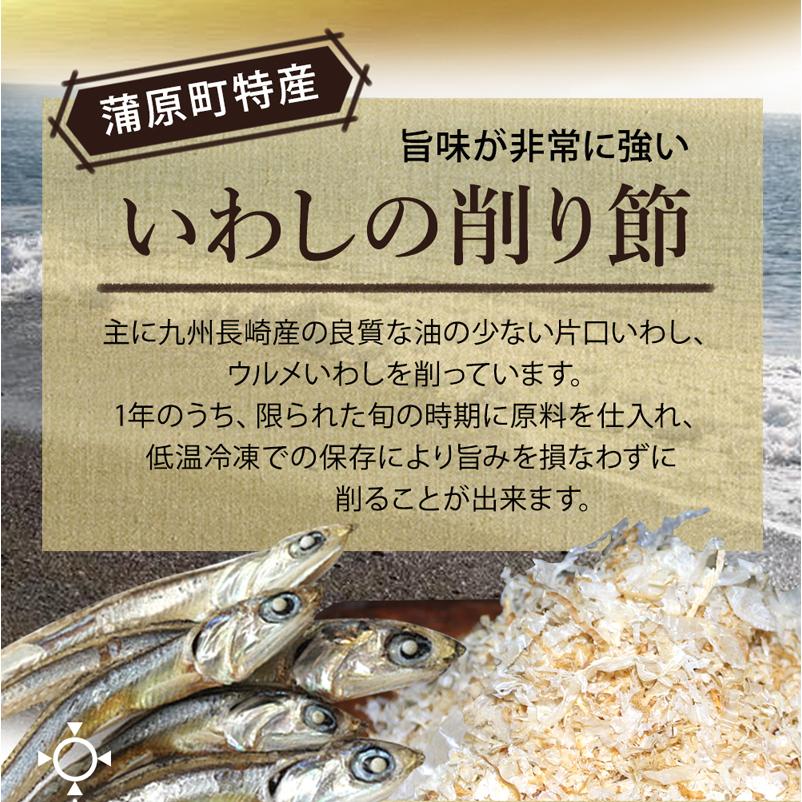 2個セット 天皇杯受賞品 静岡 西尾商店 いわし削り 蒲原 2袋 国産 