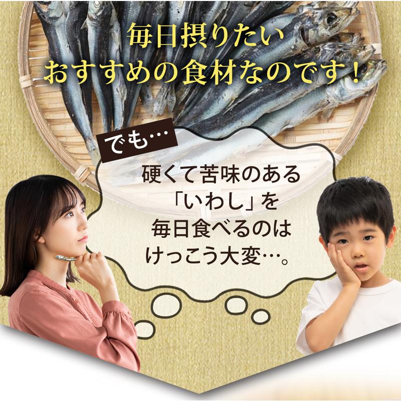 2個セット 天皇杯受賞品 静岡 西尾商店 いわし削り 蒲原 2袋 国産 