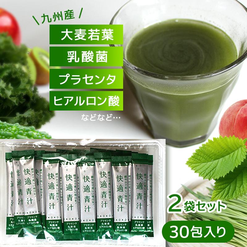2袋セット】青汁 30包入り 粉末 大麦若葉 乳酸菌 酵素 健康食品 快適青