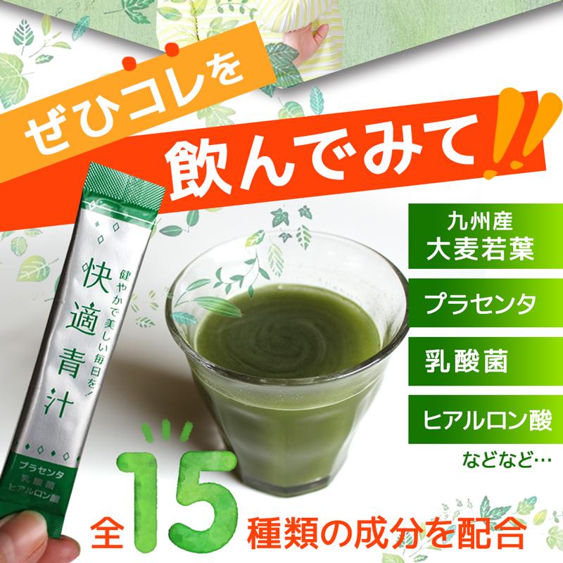 2袋セット】青汁 30包入り 粉末 大麦若葉 乳酸菌 酵素 健康食品 快適青