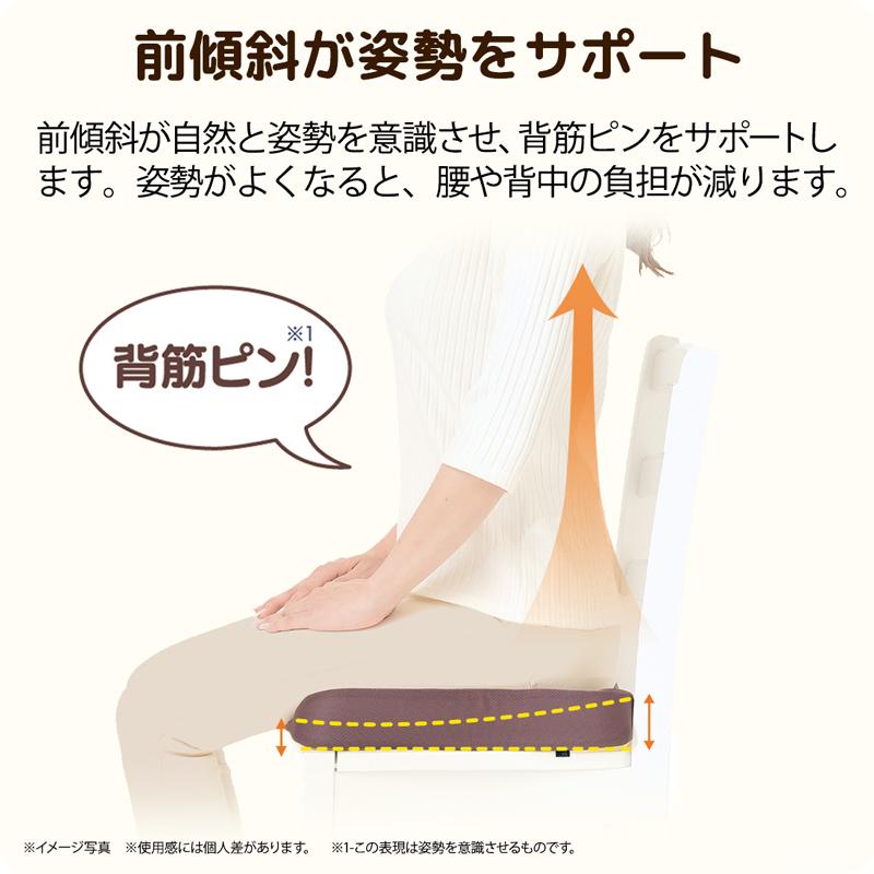 低反発 腰痛 クッション 傾斜 骨盤 サポート 美姿勢 骨盤矯正 猫背矯正