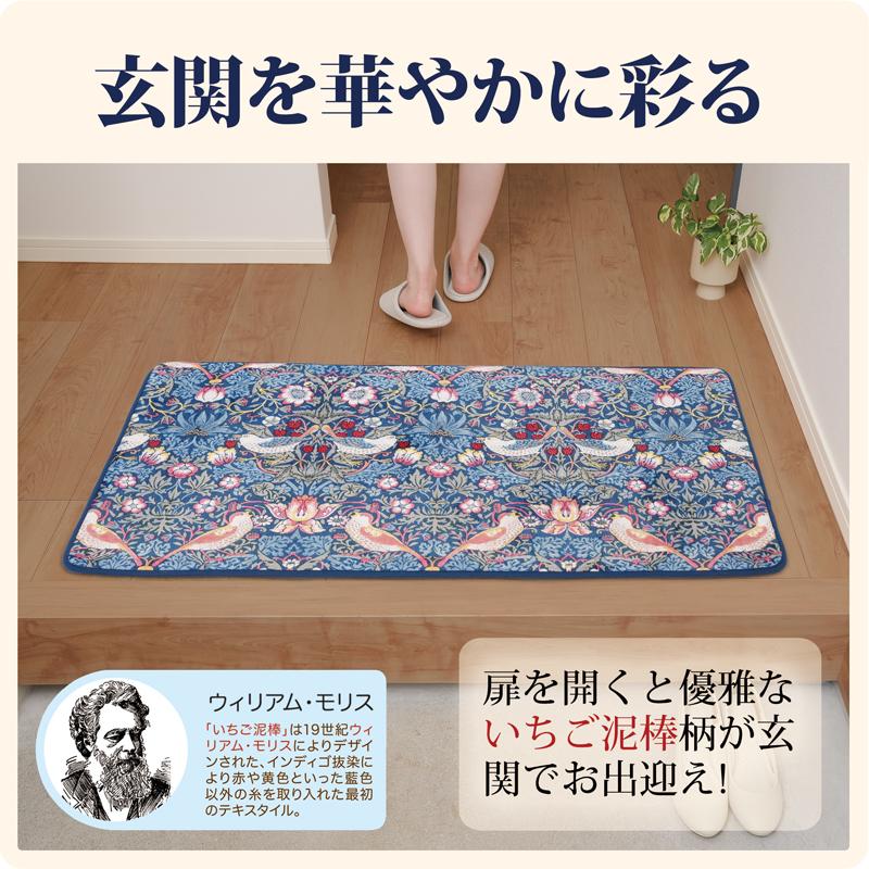玄関マット 60 × 110cm 横長 大判 大きめ 室内 屋内 厚手 マット