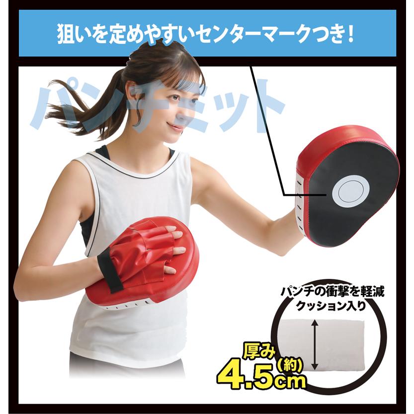 グローブ ミット セット 筋力トレーニング器具 腕 体幹 筋トレ 有酸素
