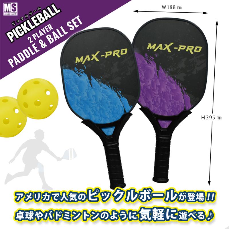 ピックルボール セット パドル×2 ボール×2 スポーツ玩具 2人プレイ