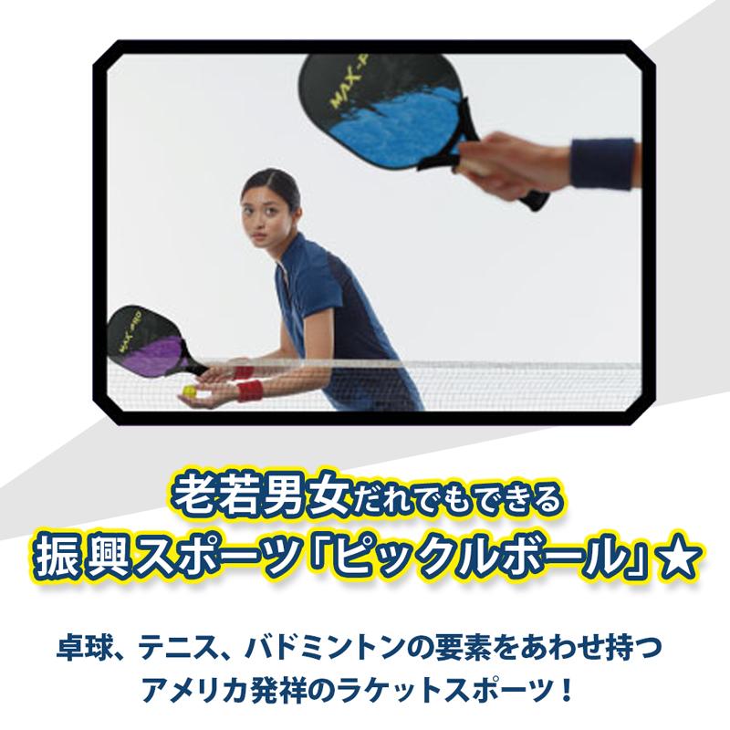 ピックルボール セット パドル×2 ボール×2 スポーツ玩具 2人プレイ