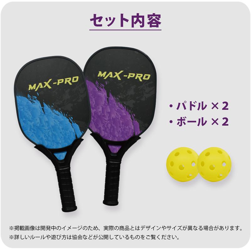 ピックルボール セット パドル×2 ボール×2 スポーツ玩具 2人プレイ
